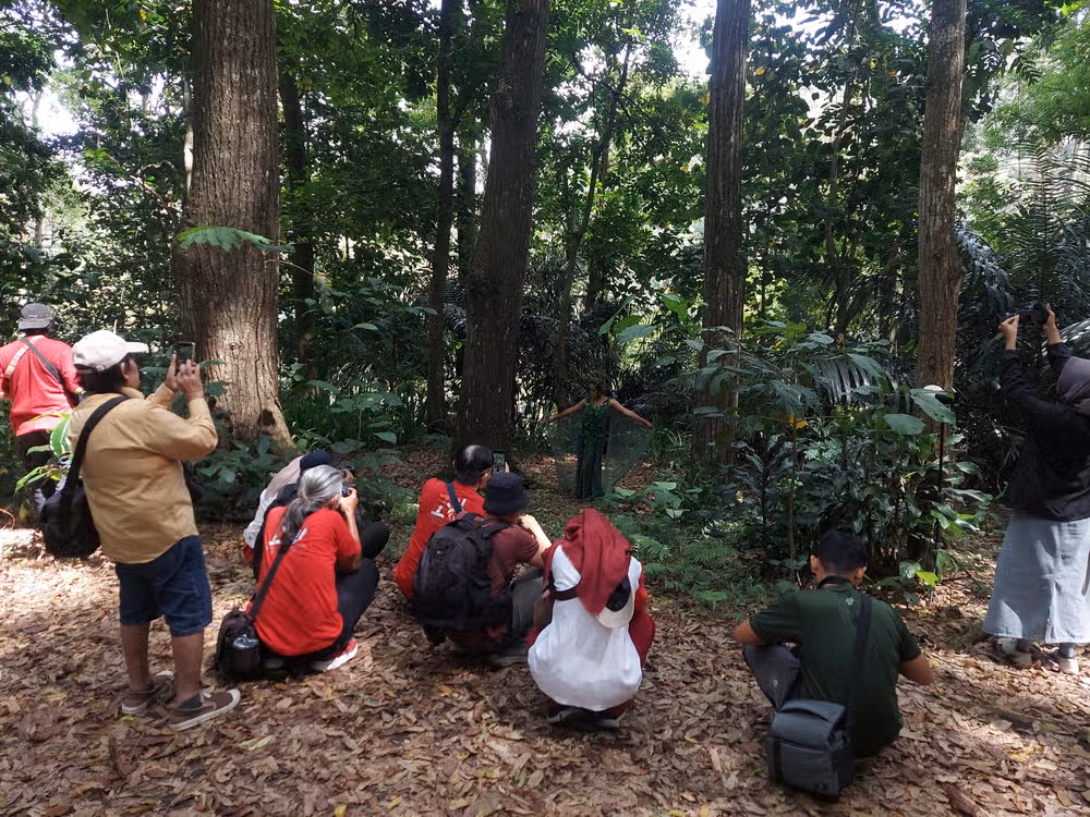 event hunting tahura